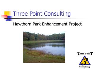 Three Point Consulting