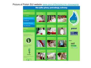 Picture of Polish SUI website psor.pl/bezpieczne stosowanie