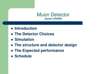 Muon Detector Jiawen ZHANG