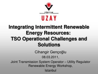 Integrating Intermittent Renewable Energy Resources:  TSO Operational Challenges and Solutions