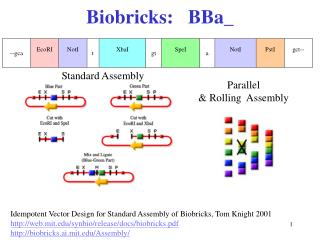 Biobricks: BBa_