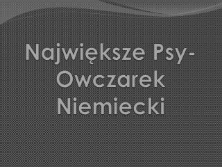 Największe Psy-Owczarek Niemiecki