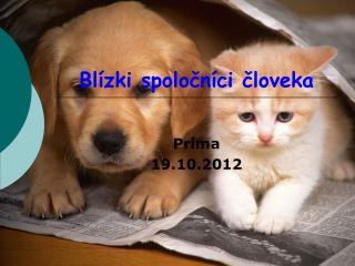 Blízki spoločníci človeka