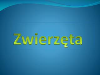 Zwierzęta