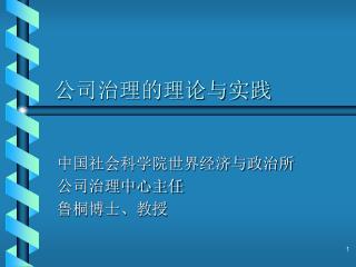 公司治理的理论与实践