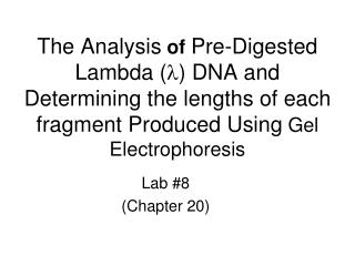 Lab #8 (Chapter 20)