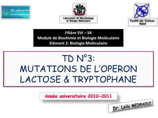 TD N°3: MUTATIONS DE L’OPERON LACTOSE &amp; TRYPTOPHANE