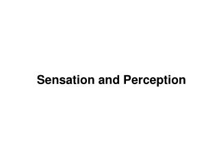 Sensation and Perception