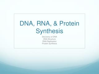 DNA, RNA, &amp; Protein Synthesis
