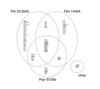 Pto DC3000