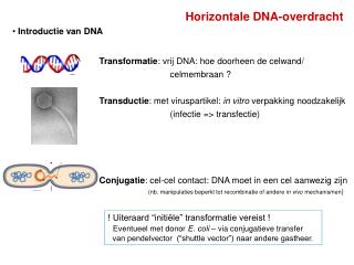 Introductie van DNA