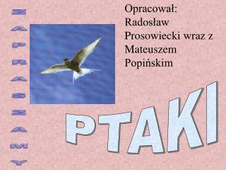 PTAKI