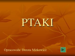 PTAKI