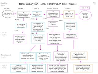 Händelseanalys Är 11/2010 Rupturerad AV-fistel (bilaga 1)