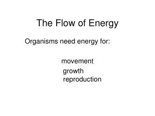 The Flow of Energy