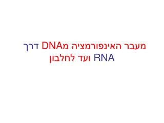 מעבר האינפורמציה מ DNA דרך RNA ועד לחלבון