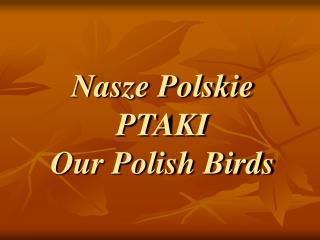 Nasze Polskie PTAKI Our Polish Birds