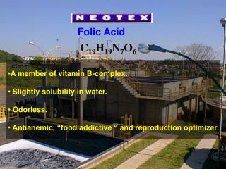 Folic Acid