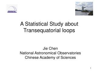 A Statistical Study about Transequatorial loops
