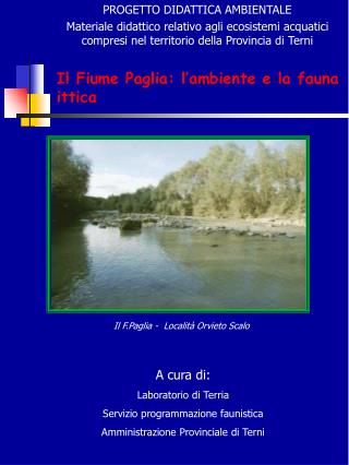 Il Fiume Paglia: l’ambiente e la fauna ittica