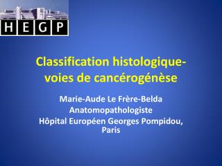 Classification histologique- voies de cancérogénèse