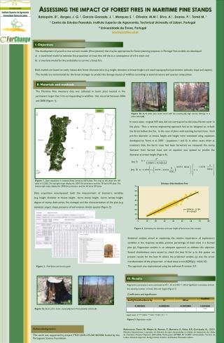Assessing the impact of forest fires in maritime pine stands