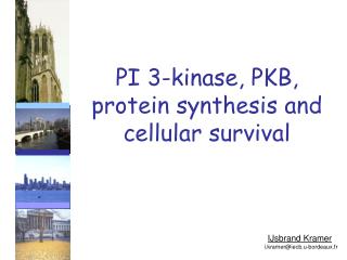 PI 3-kinase, PKB, protein synthesis and cellular survival