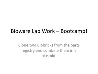 Bioware Lab Work – Bootcamp!