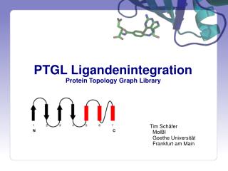 PTGL Ligandenintegration Protein Topology Graph Library