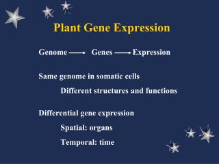 Plant Gene Expression