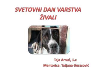 SVETOVNI DAN VARSTVA ŽIVALI