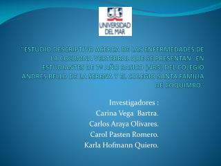 Investigadores : Carina Vega Bartra. Carlos Araya Olivares. Carol Pasten Romero.