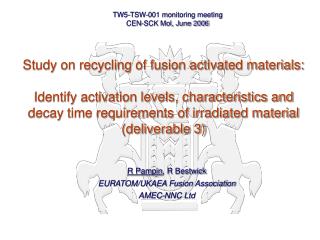 R Pampin , R Bestwick EURATOM/UKAEA Fusion Association AMEC-NNC Ltd