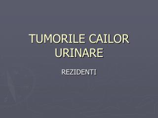 TUMORILE CAILOR URINARE