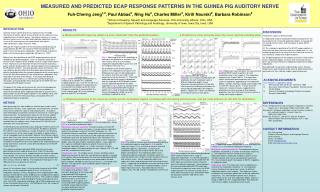 MEASURED AND PREDICTED ECAP RESPONSE PATTERNS IN THE GUINEA PIG AUDITORY NERVE