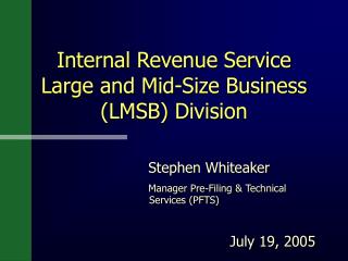 Internal Revenue Service Large and Mid-Size Business (LMSB) Division
