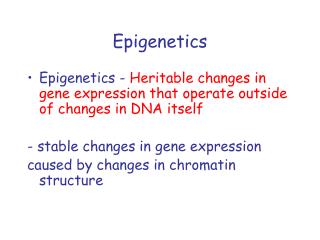 Epigenetics