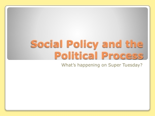 Social Policy and the Political Process
