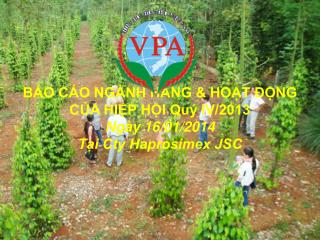 BÁO CÁO NGÀNH HÀNG &amp; HOẠT ĐỘNG CỦA HIỆP HỘI Quý IV/2013 Ngày 16/01/2014 Tại Cty Haprosimex JSC