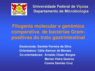 Filogenia molecular e genômica comparativa de bactérias Gram-positivas do trato gastrintestinal