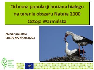 Ochrona populacji bociana białego na terenie obszaru Natura 2000 Ostoja Warmińska