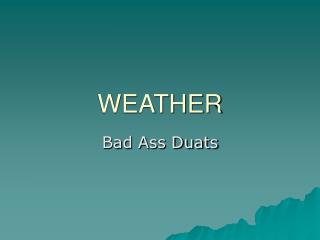 WEATHER