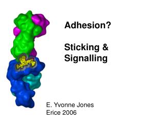 Adhesion? Sticking &amp; Signalling