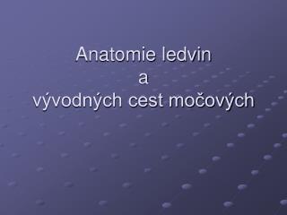 Anatomie ledvin a vývodných cest močových