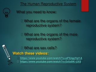 What you need to know: What are the organs of the female 	reproductive system?