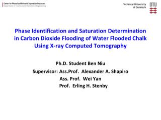 Ph.D. Student Ben Niu Supervisor: Ass.Prof. Alexander A. Shapiro Ass. Prof. Wei Yan