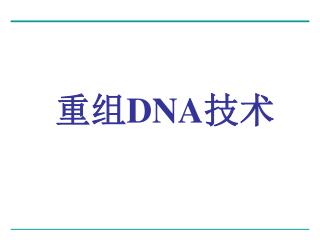 重组 DNA 技术