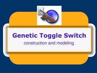 Genetic Toggle Switch