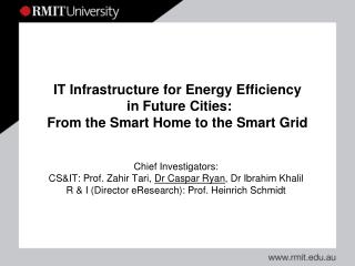 IT Infrastructure for Energy Efficiency in Future Cities: From the Smart Home to the Smart Grid