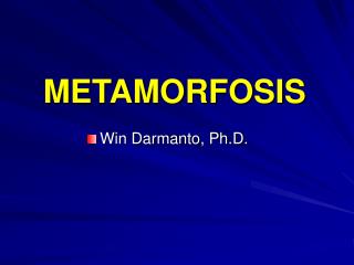 METAMORFOSIS